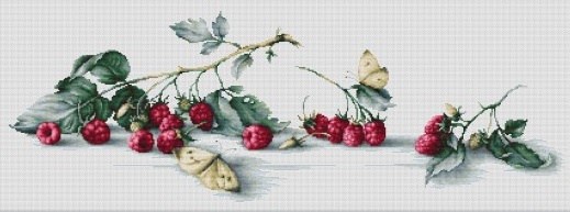 Raspberries with Butterflies